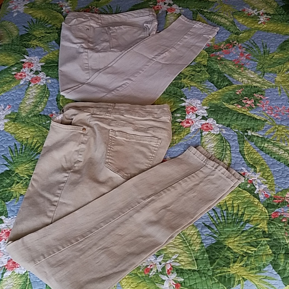 EUC Bandolino Pants
